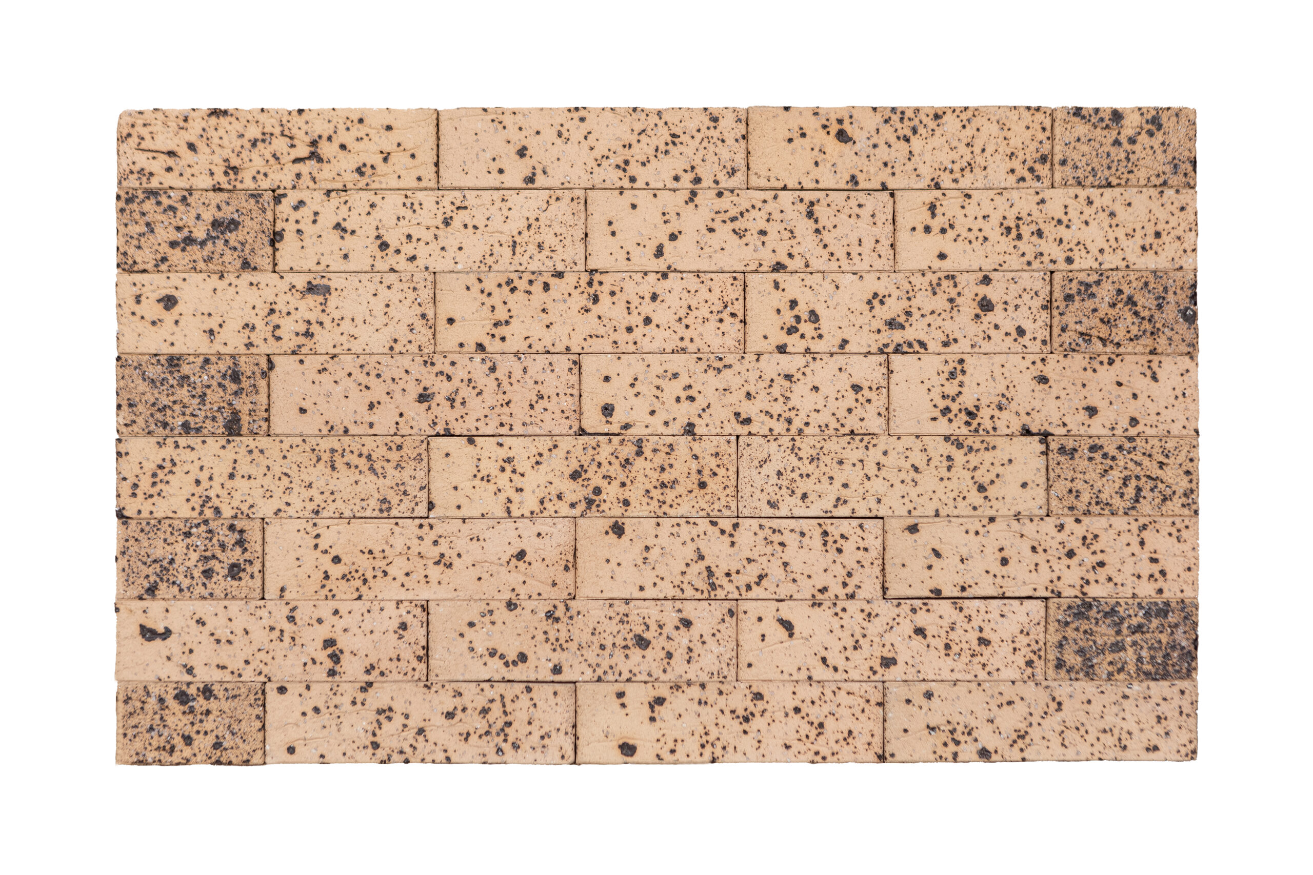 IMG_1781-редакт